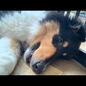 Meet your Posher, Elisa